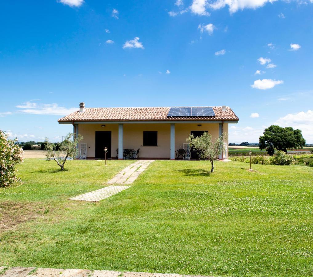 Podere Giovanni Olivo Farm stay Tarquinia